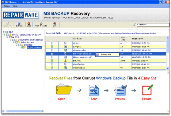 RepairWare MS Backup Recovery Tool 6.0