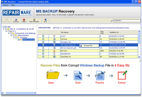 RepairWare MS Backup Recovery Tool screenshot